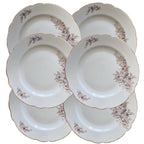 set of six antique French porcelain dinner plates with hand painted floral decoration