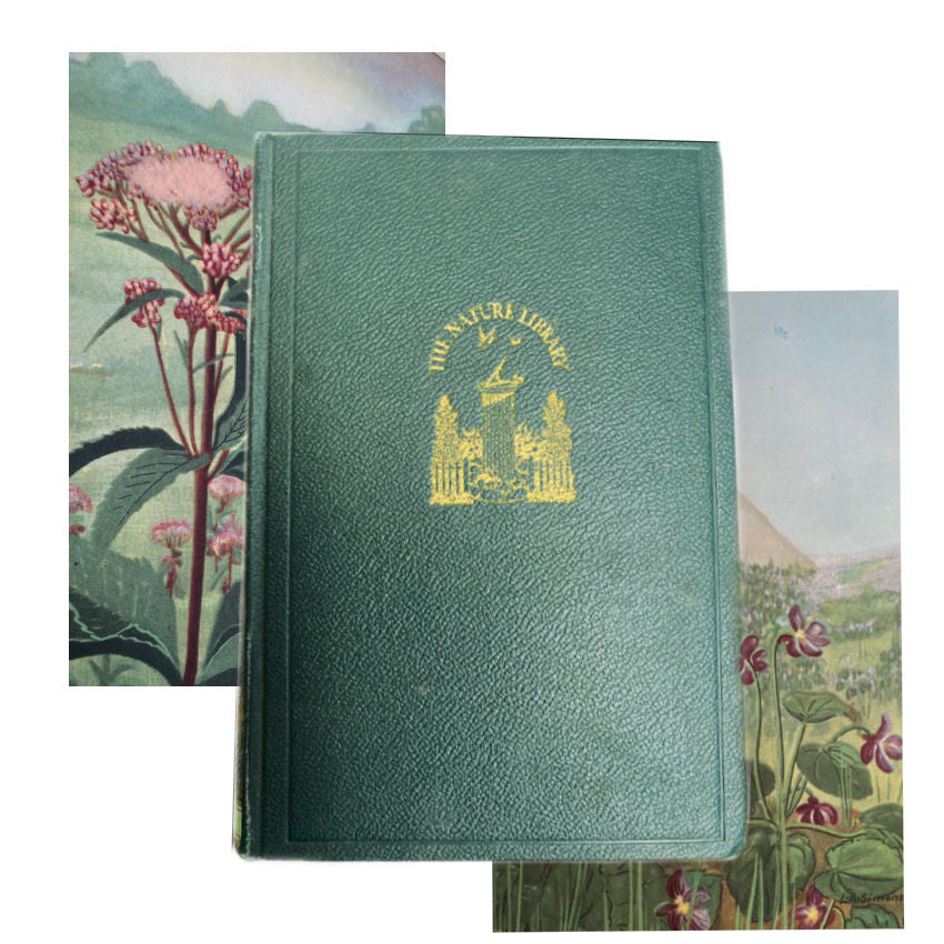 1926 Nature Library Wild Flowers Doubleday book cover
