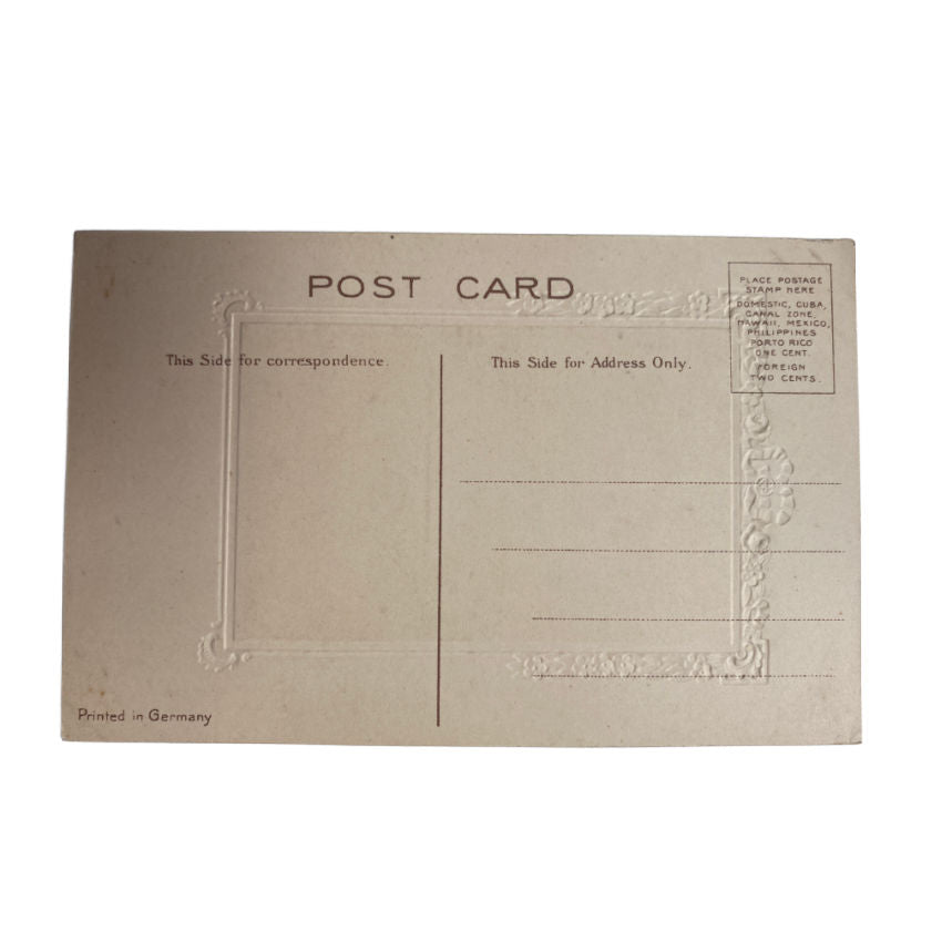 Unused Antique Chromolithograph Portrait Lady in Green Postcard