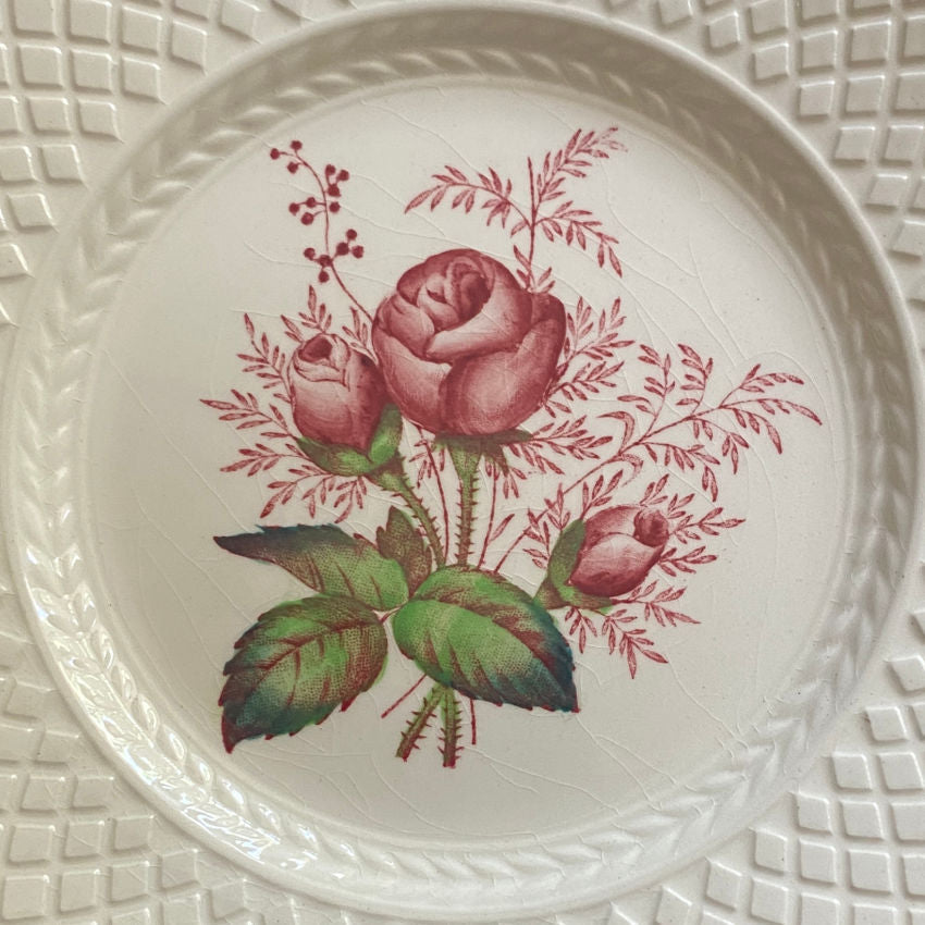 Collected English porcelain dessert plates pink roses Copeland Spode romantic tableware set close up of pink roses