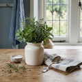 French Terre de Fer cream preserving pot tabletop styling with herbs and antique french spoon