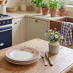 French stoneware kitchen vessel antique glaze in French country kitchen with antique French plates and herbs in pots