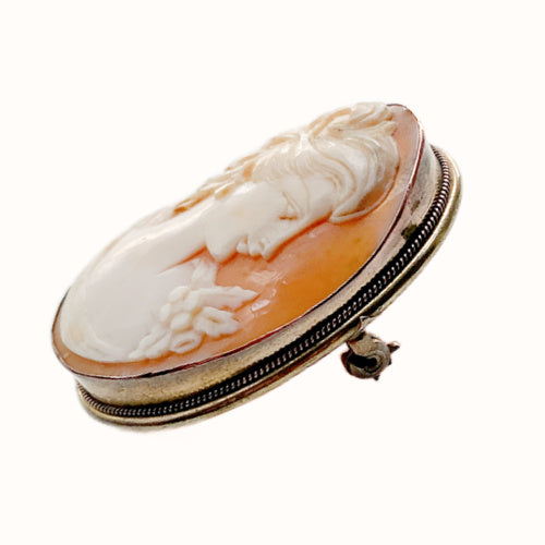 Vintage hand-carved cameo portrait brooch featuring a classical female profile, set in a refined gold mount with timeless appeal.