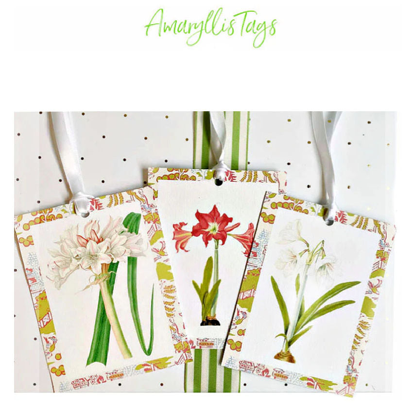Luxurious Oversized Amaryllis Tags