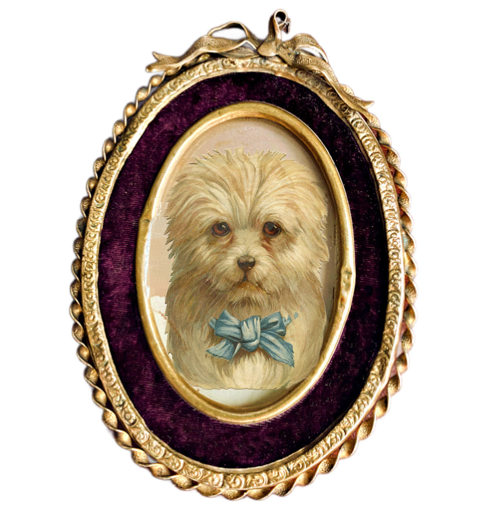 Antique 19th century gilt photograph frame with a twisted metal surround and a merlot velvet insert, displaying an image of a puppy inside.