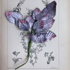 Vintage Purple Velvet Millinery Leaves