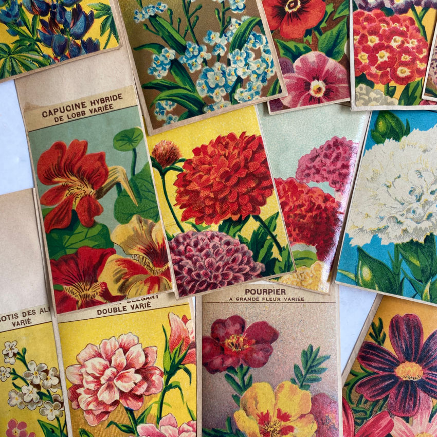 Antique French Seed Packets Flowers Set of 5