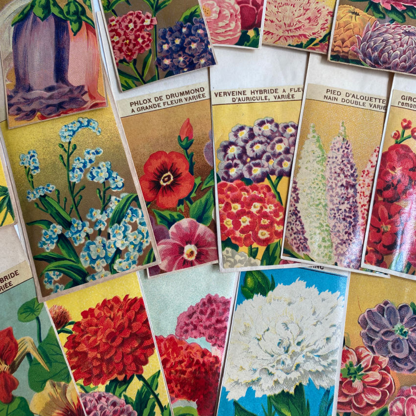 Antique French Seed Packets Flowers Set of 5