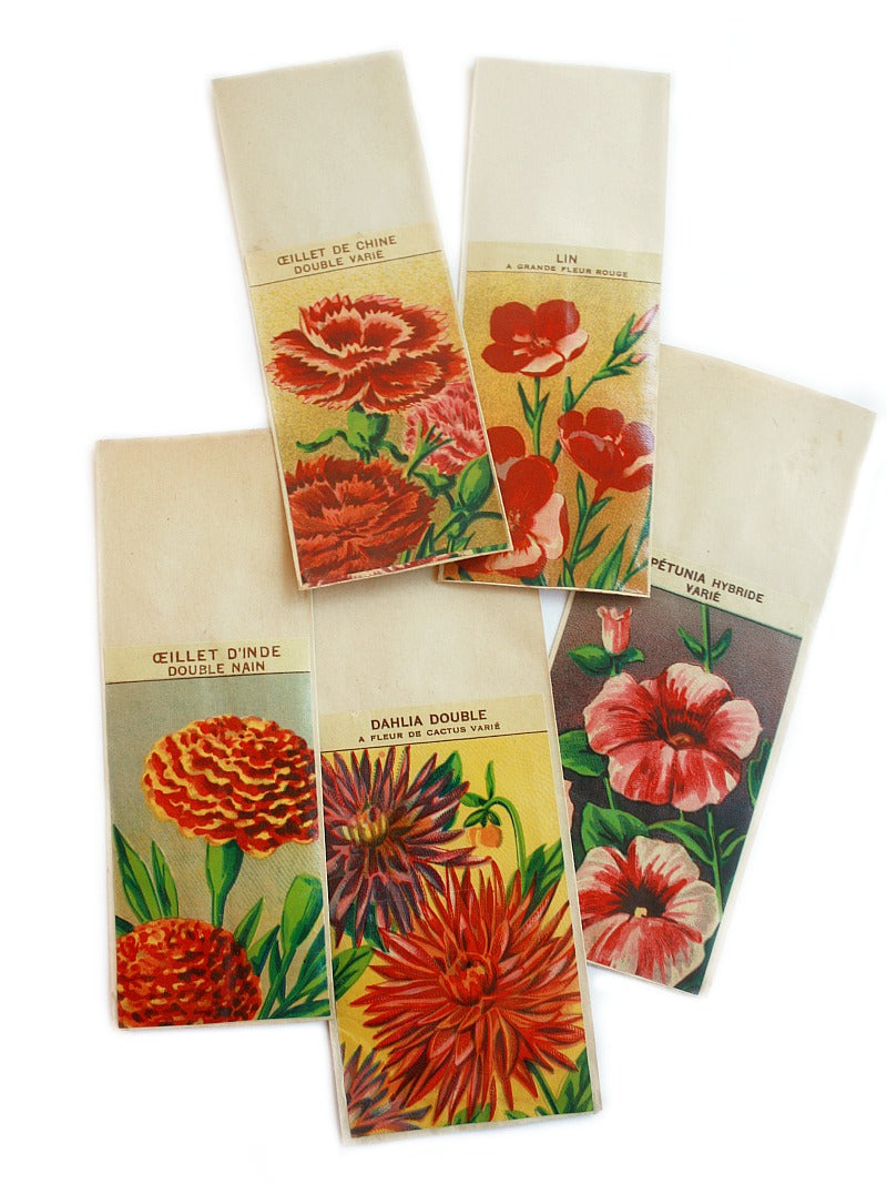 Antique French Seed Packets Flowers Set of 5