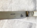 Antique Mother of Pearl Handle Sterling Ferrule Large Cake Knife