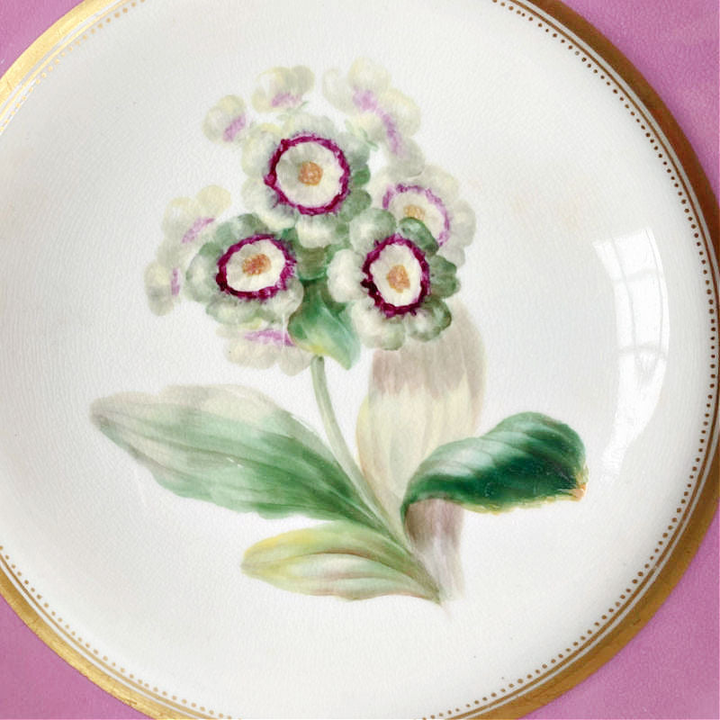 19th Century Pink Vieux Paris Porcelain Hand Painted Floral Plate White Flowers