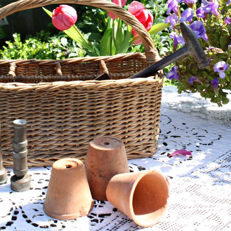 Antique French Greenhouse Terracotta Seedling Pots Set of 3