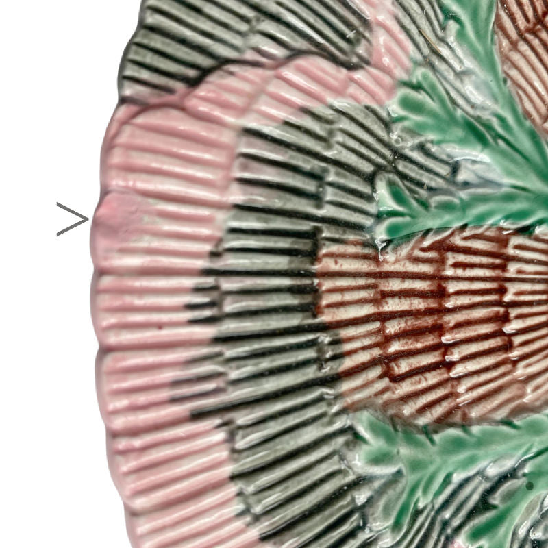 Antique Majolica 19th Century Griffen Smith &amp; Hill Etruscan Shell &amp; Seaweed Majolica Plate