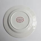 Vintage Red Transfer Farmhouse Large Plates Set of 2