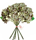 Luxury autumn green hydrangeas 