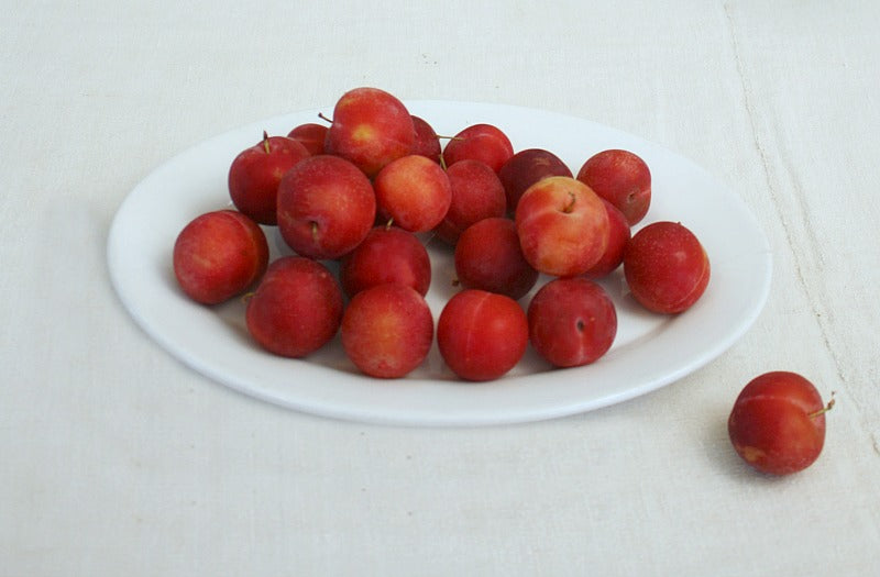 Antique French Country Ironstone Oval Platter