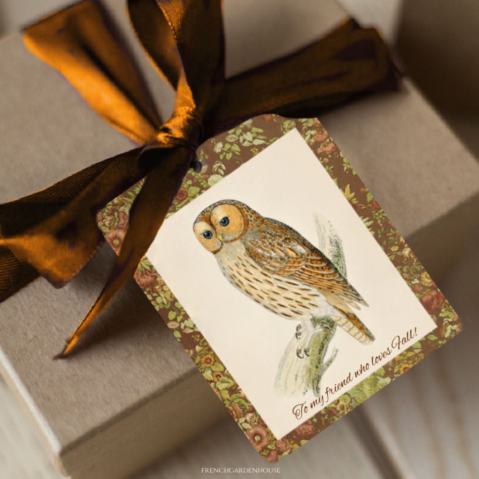 French owl gift tags