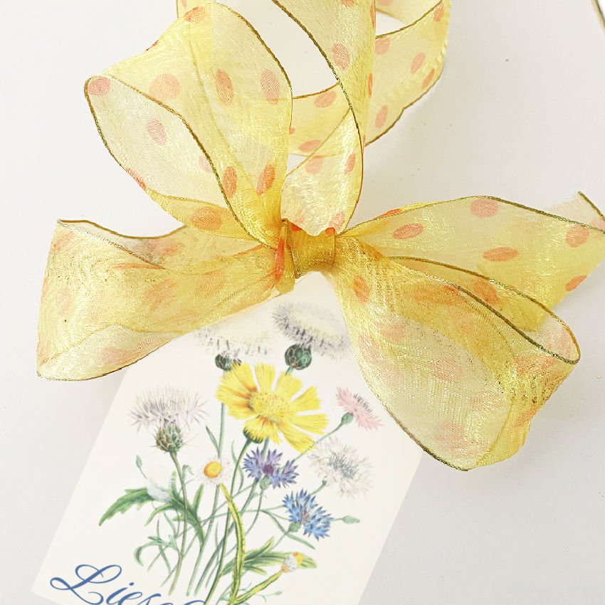 Modern French orange ribbon with playful polka dot design