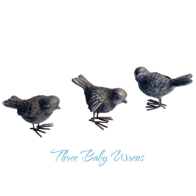 Baby Wren Set of 3