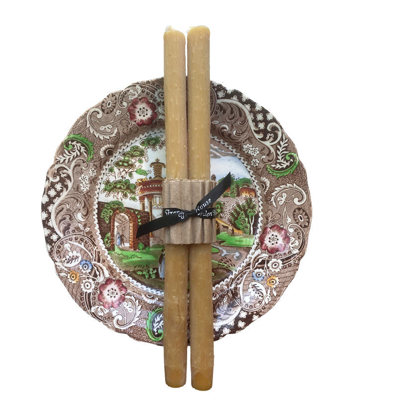 Elderberry Branch Twig Beeswax Tapers