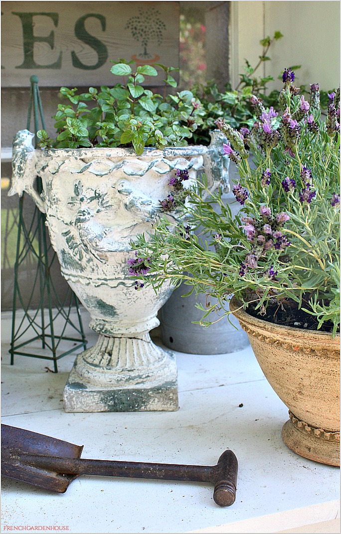 LavenderPottingBenchFGH