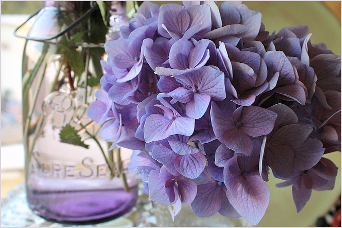 BlueHydrangeavase