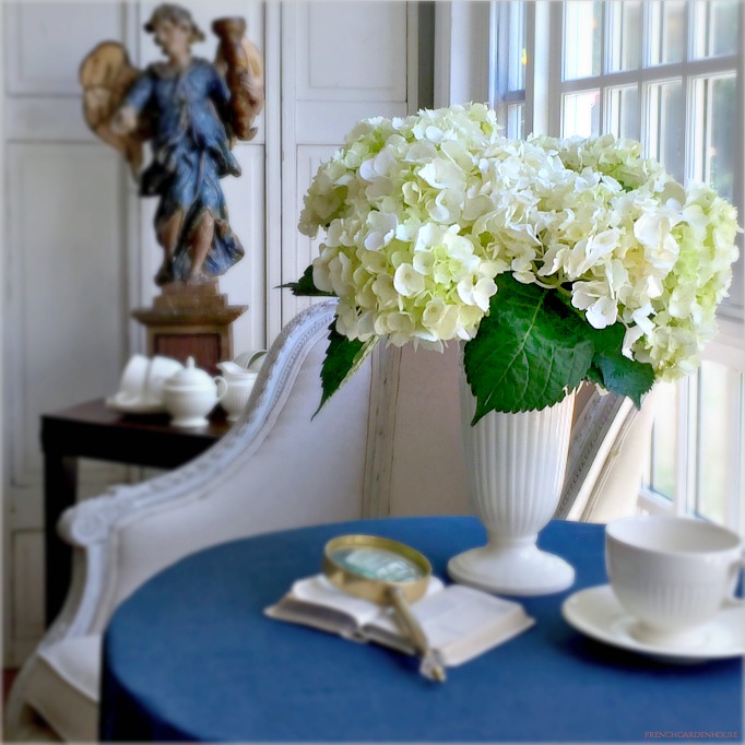 Whitehydrangea2