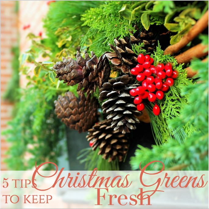 5 Tips To Keep Your Christmas Greens FRESH LONGER