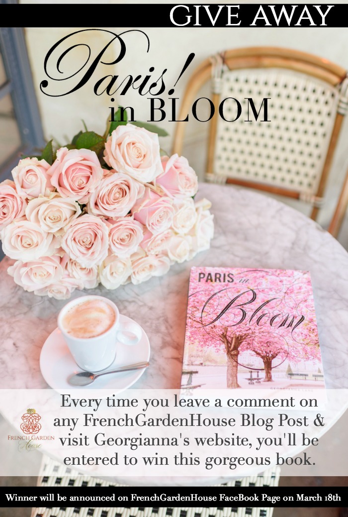 PARISINBLOOM GIVEAWAY