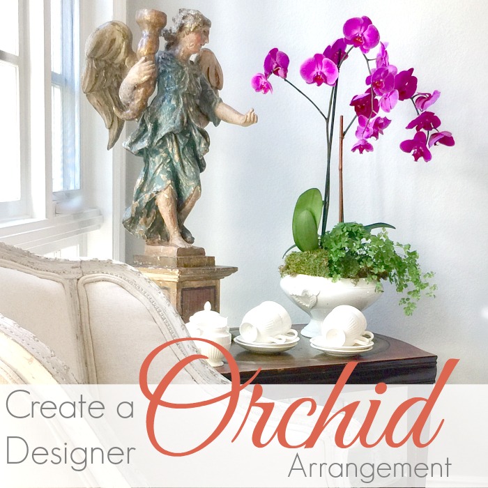 HOW TO | CREATE A DESIGNER ORCHID DISPLAY