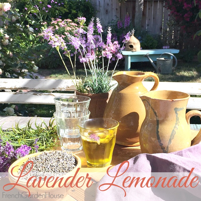 FRENCHGARDENHOUSE LAVENDER LEMONADE