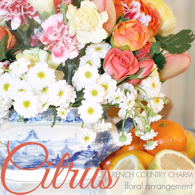 CITRUS FRENCH COUNTRY CHARM