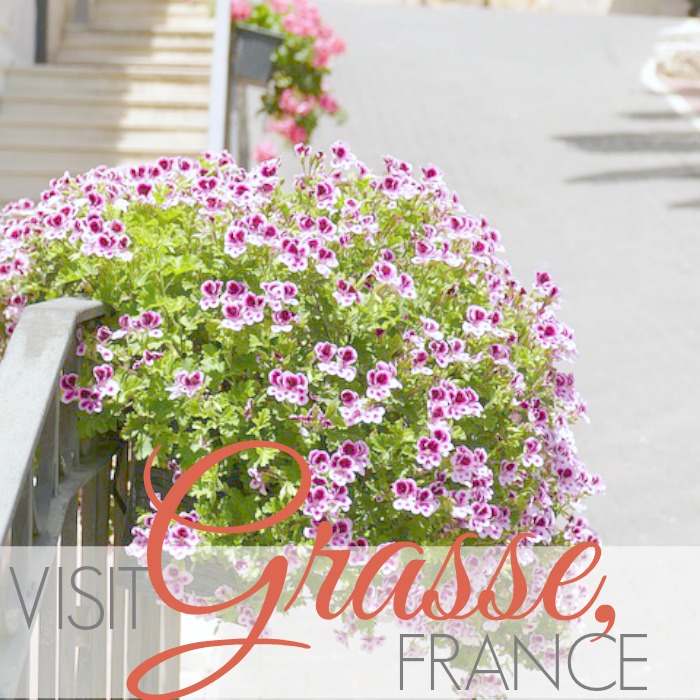 VISIT GRASSE, FRANCE