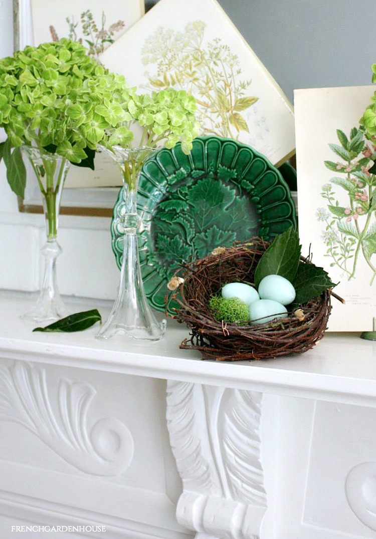 Design a spring mantel with green hydrangeas