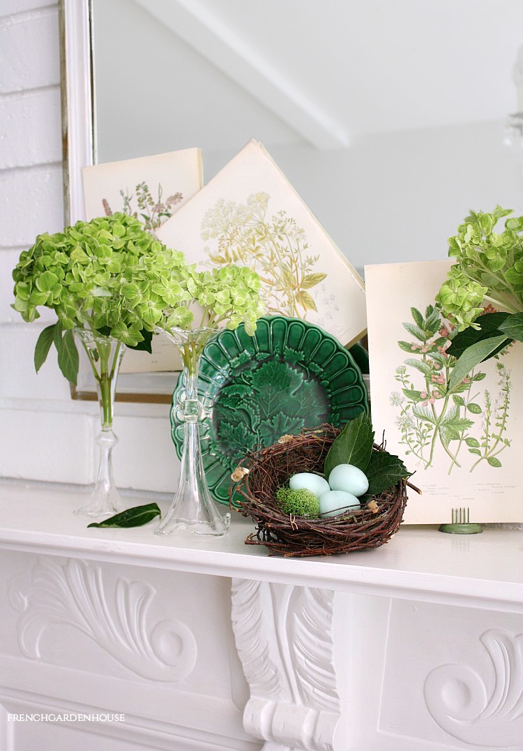 hydrangeas and green majolica plates