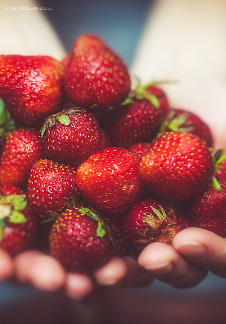 Romantic Strawberry Smash Cocktail