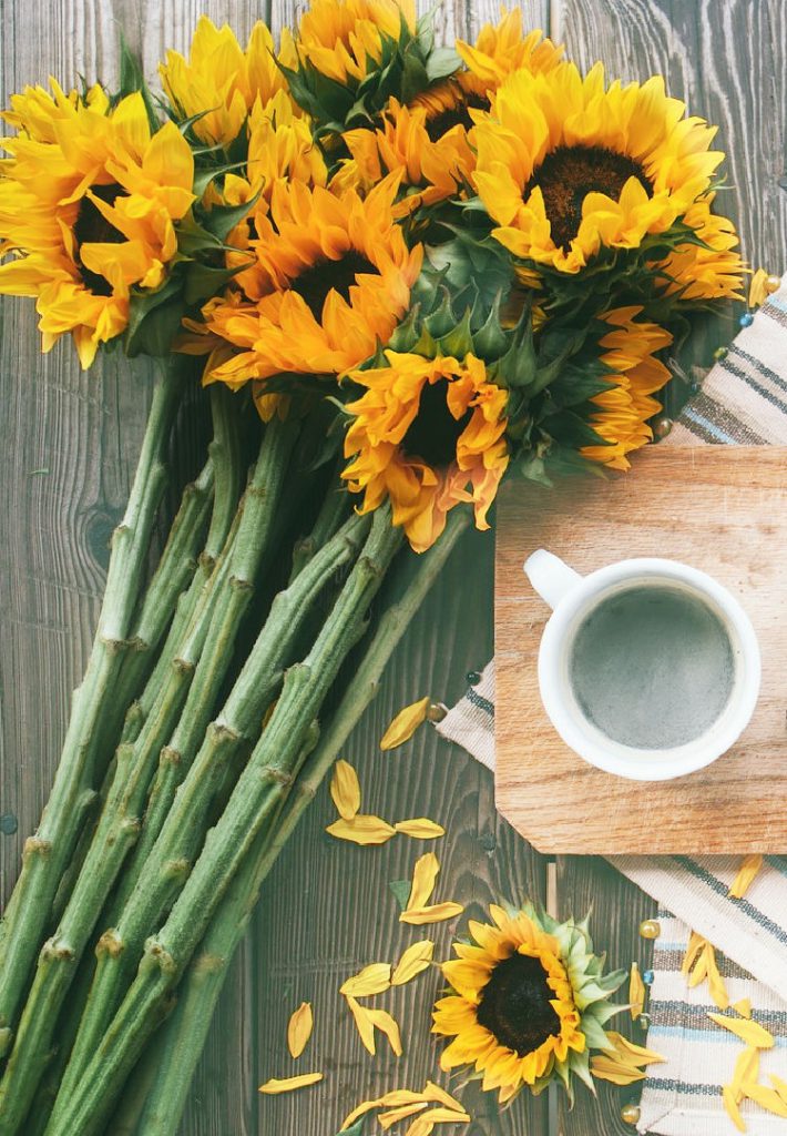 french sunflower bouquet