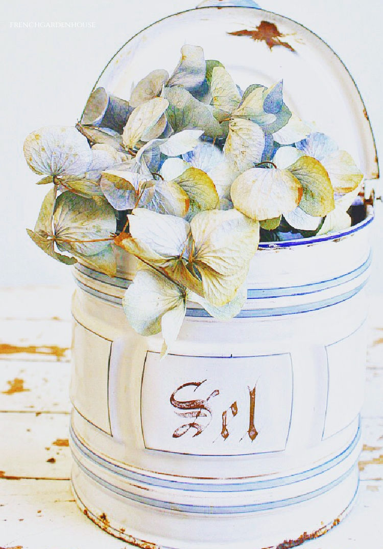 blue hydrangeas in french canister