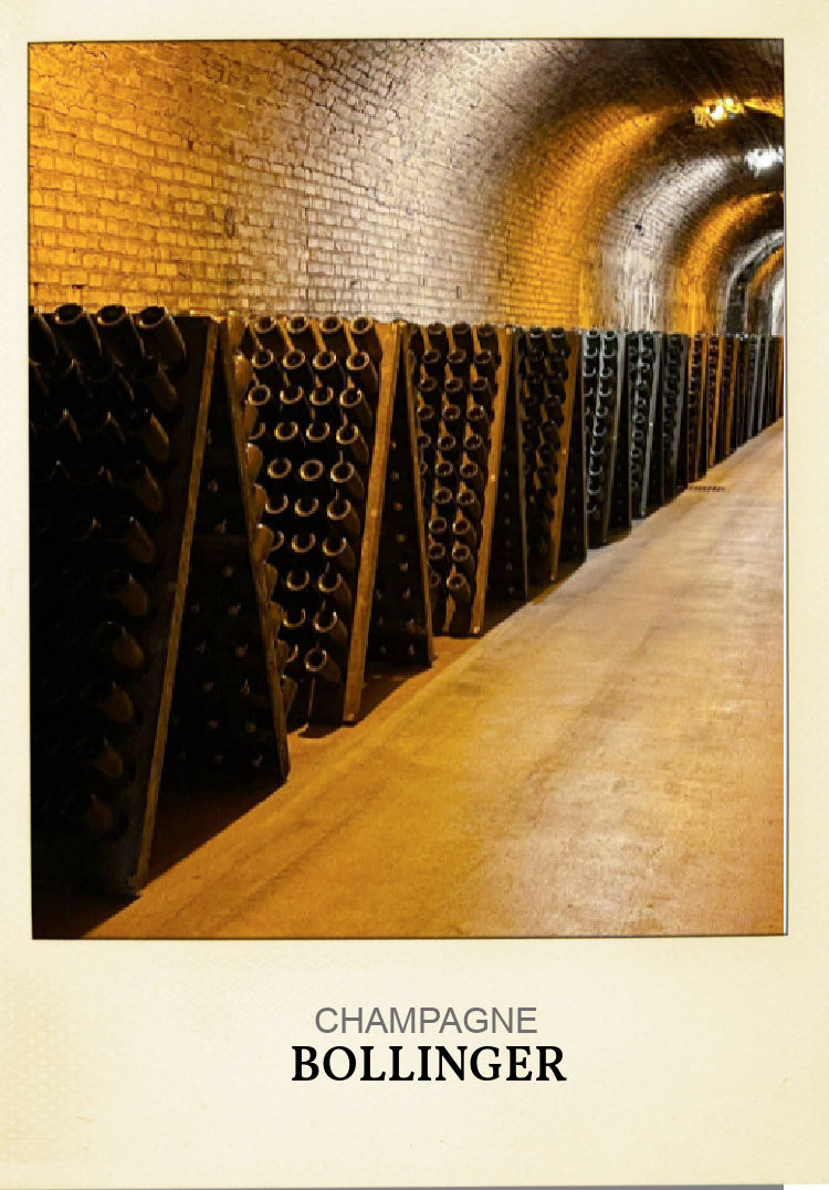 Champagne cellar