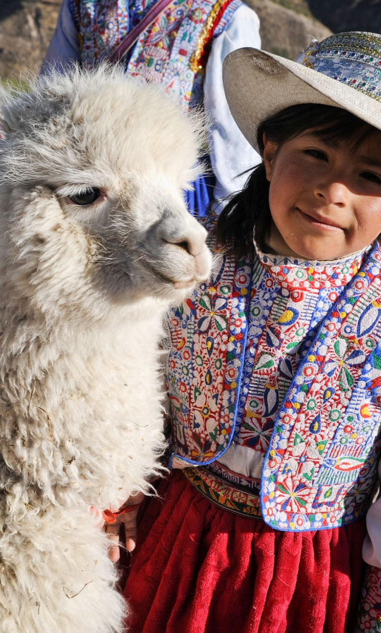 Luxurious Alpaca Throws