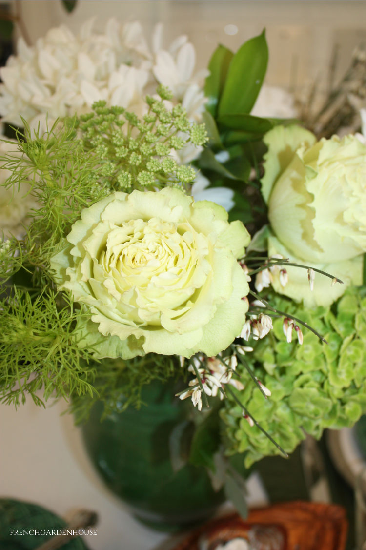 green cabbage roses