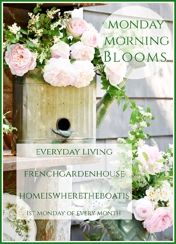 Monday Morning Blooms For Spring