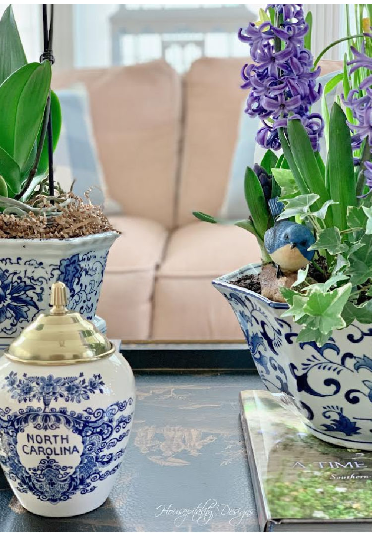 blue hyacinths for spring