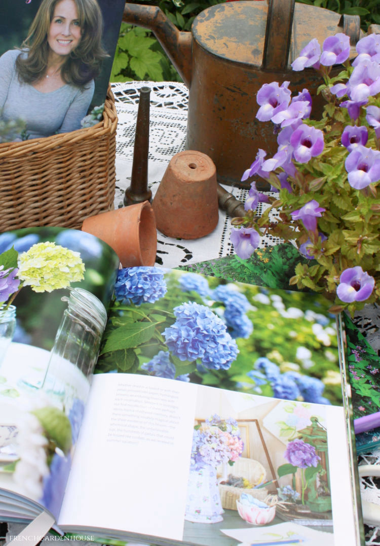 blue hydrangeas 