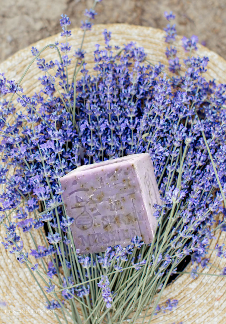 lavender soap