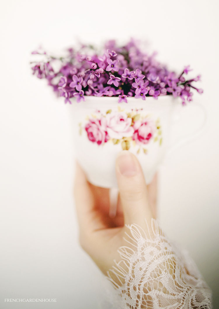 lilacs in a tea cup