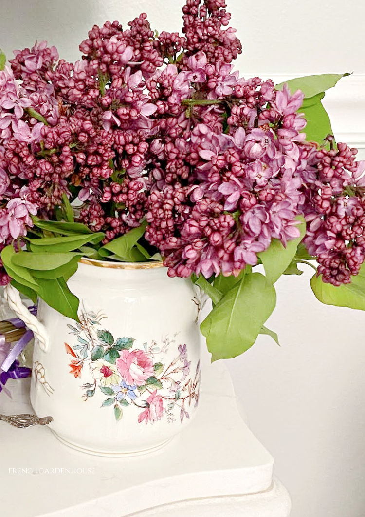 lilacs in a vase