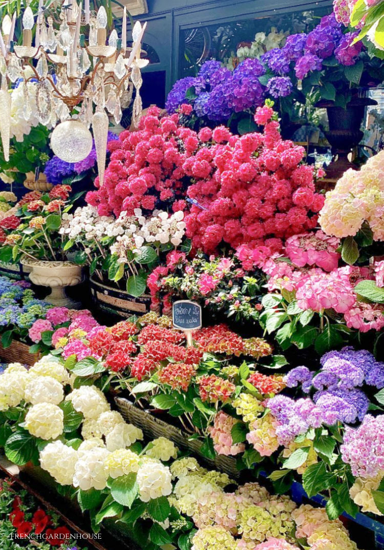 Visit Le Marché aux Fleurs Reine-Elizabeth-II