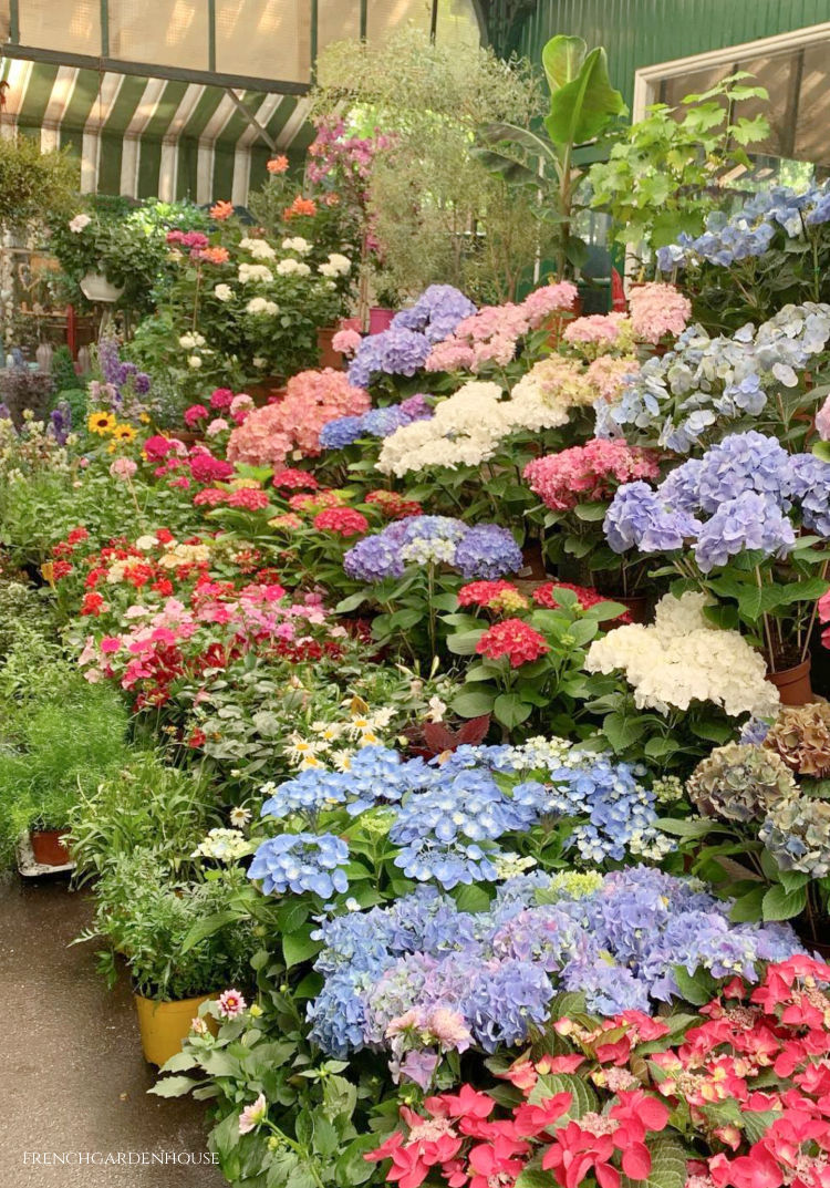 Visit Le Marché aux Fleurs Reine-Elizabeth-II