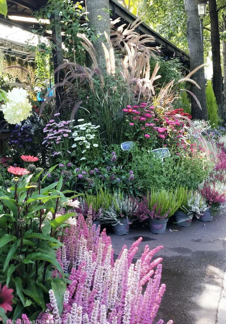 Visit Le Marché aux Fleurs Reine-Elizabeth-II